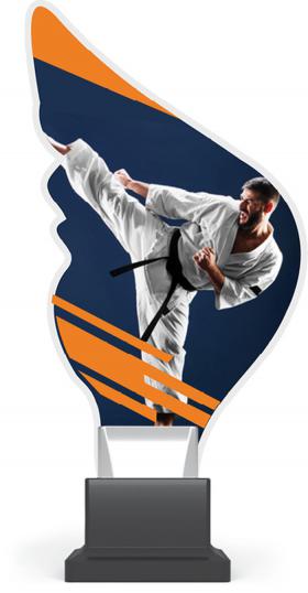 Statuetka pleksi Karate - CP01/KAR