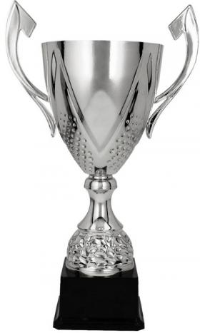 Puchar standardowy wysoki srebrny 3134